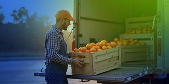 Przewóz artykułów żywnościowych