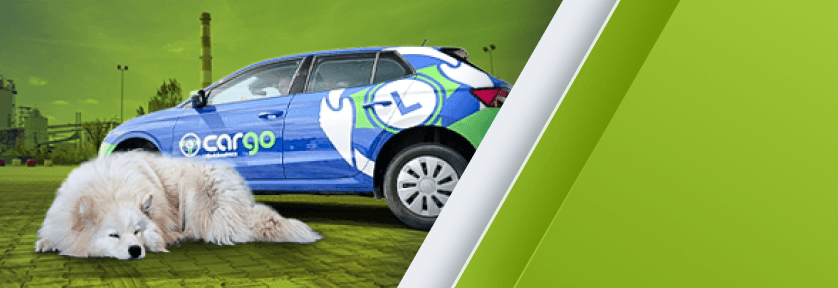 Bezpieczna podróż z pupilem